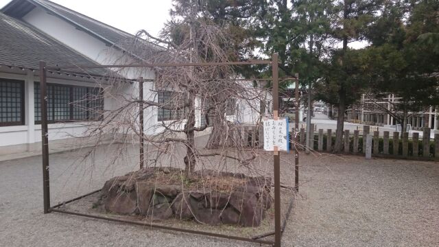 大阪市・堺市・松原市・和泉市・岸和田市など対応の行政書士中村法務事務所